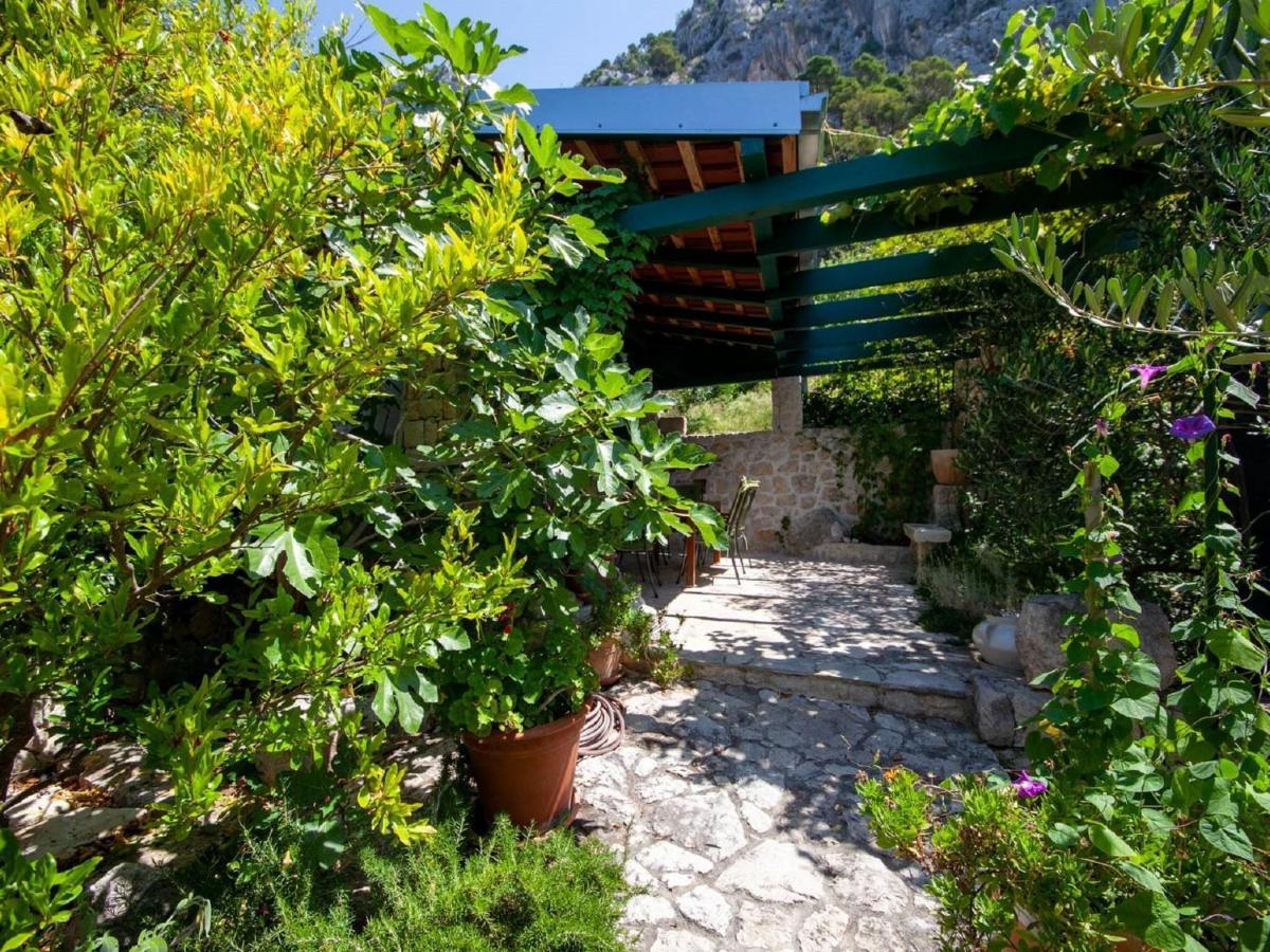 Luxurious Holiday Home In Makarska With Jacuzzi Экстерьер фото